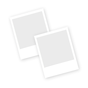 Almohadilla y Receptor de Tinta porus pad Impresora EPSON  L555
